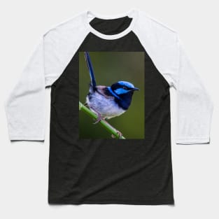 Australian Superb Fairy-Wren Baseball T-Shirt